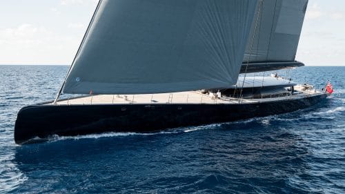 398-NGONI-32-Breedmedia20906f 16-9