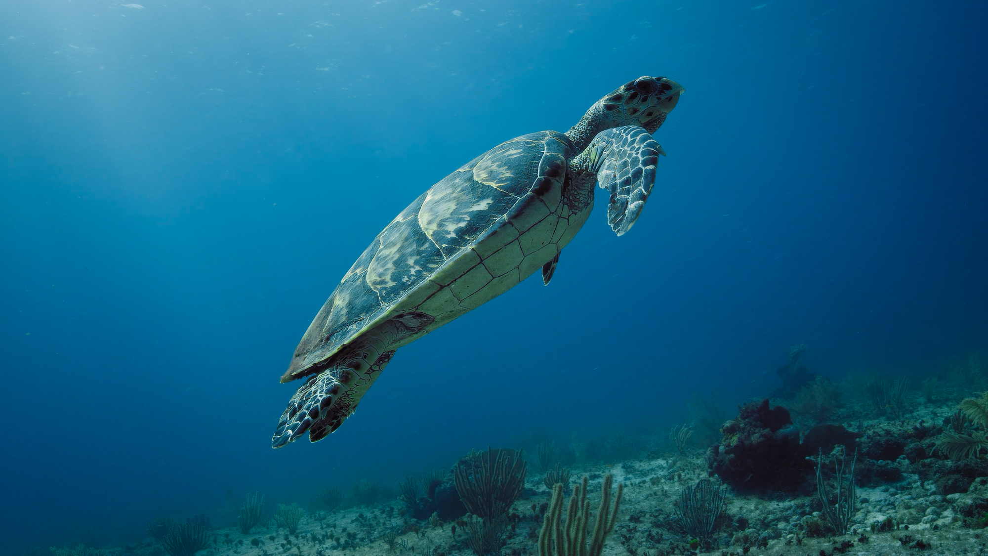 PROJECT TIDAL SHIFT: GUIDING THE WAY TO SUSTAINABLE YACHTING